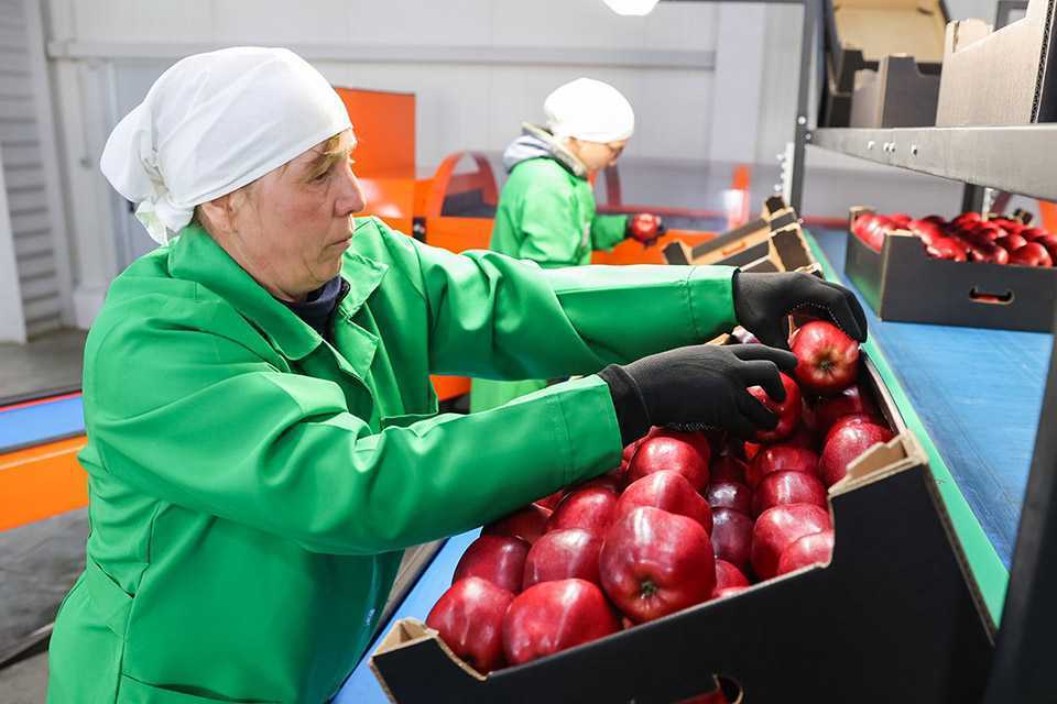 Dorin Recean: „Piețele europene oferă predictibilitate și oportunități pentru producătorii moldoveni”