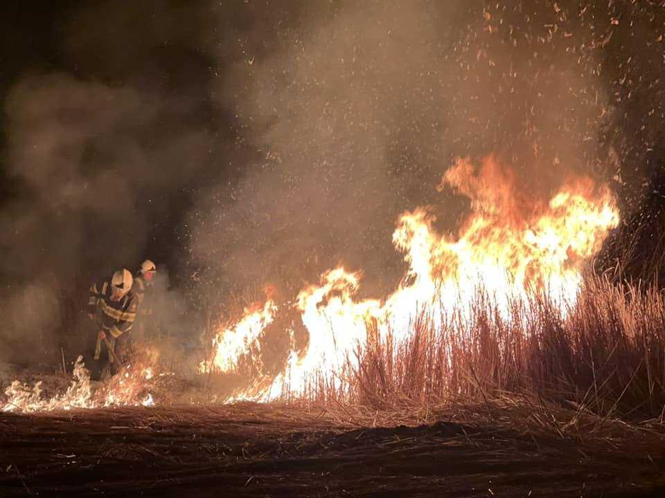 Peste 70 ha de teren au fost compromise de incendiile de vegetație în ultimele 24 de ore