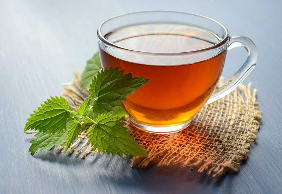 E primăvară, bem ceai de urzică. Un remediu natural cu numeroase beneficii pentru sănătate
