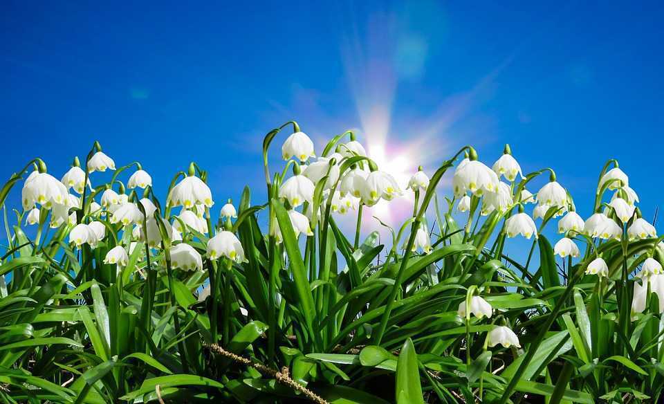 Vreme caldă și cer variabil. Prognoza meteo pentru 24 martie