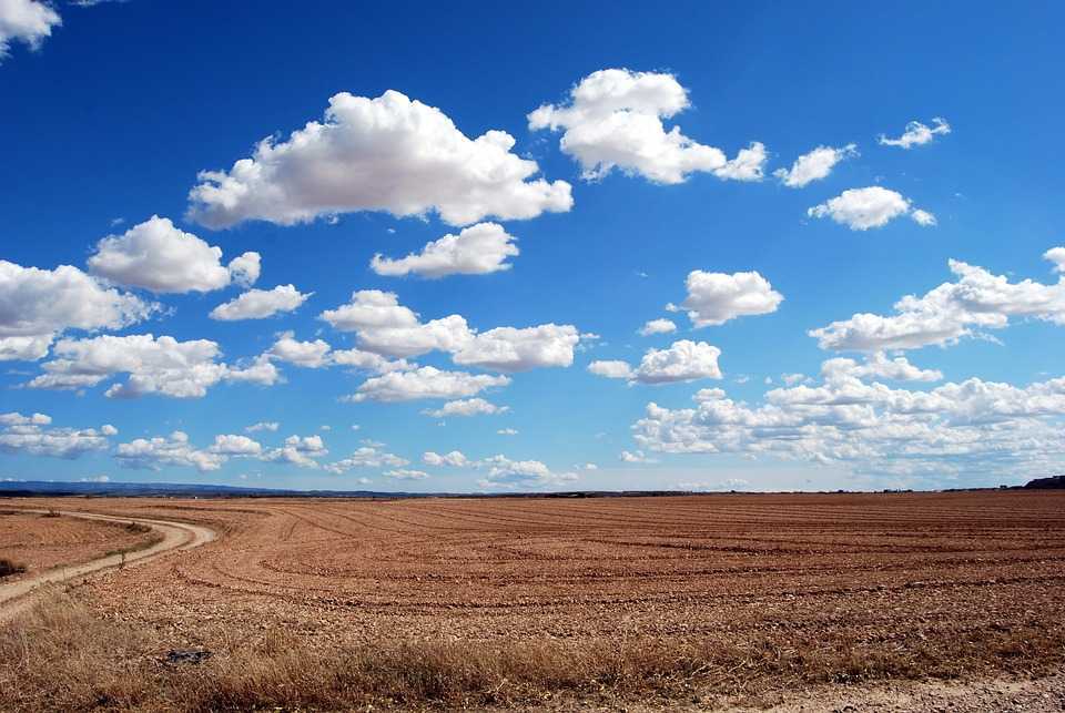 AIPA a acordat în acest an subvenții în agricultură de peste 260 de milioane de lei