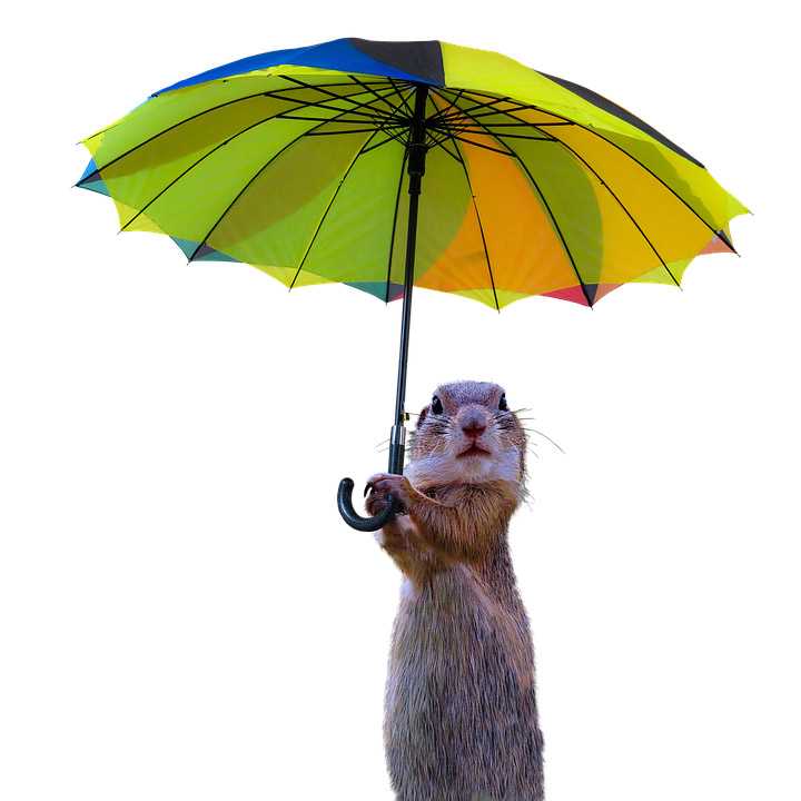 Vreme răcoroasă și ploi slabe. Prognoza meteo pentru 27 martie