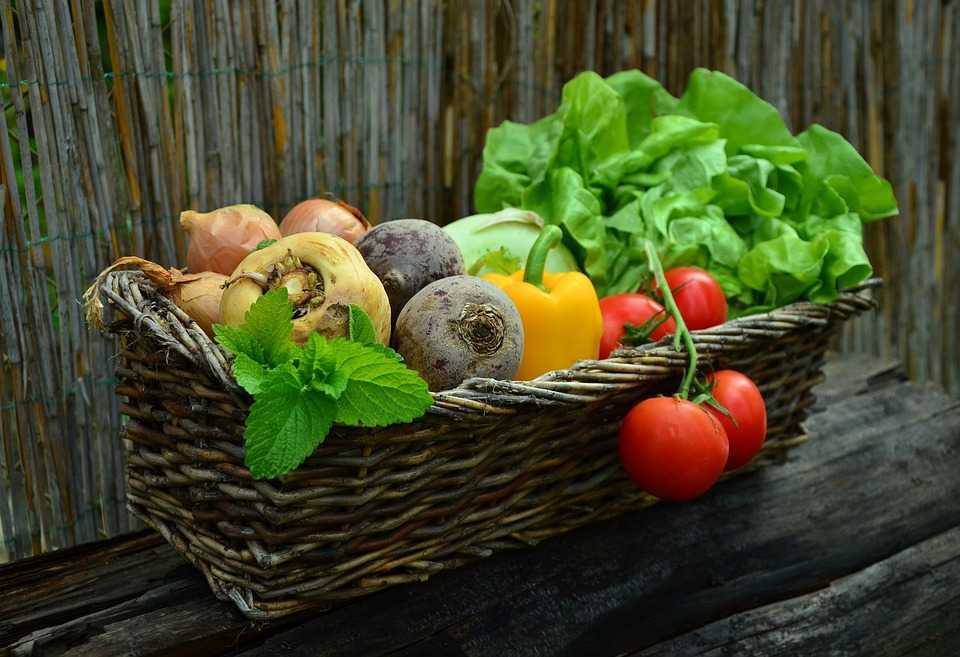 70 de acte UE din domeniul agroalimentar vor fi transpuse în legislația națională