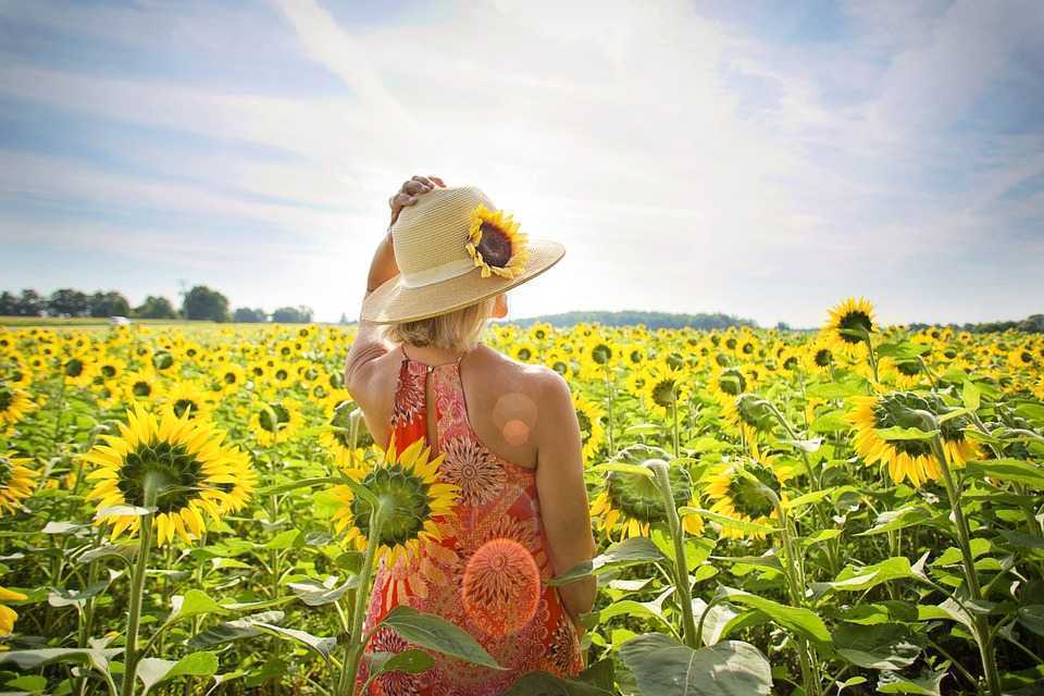 România este pe primul loc în UE la producția de floarea soarelui în 2022