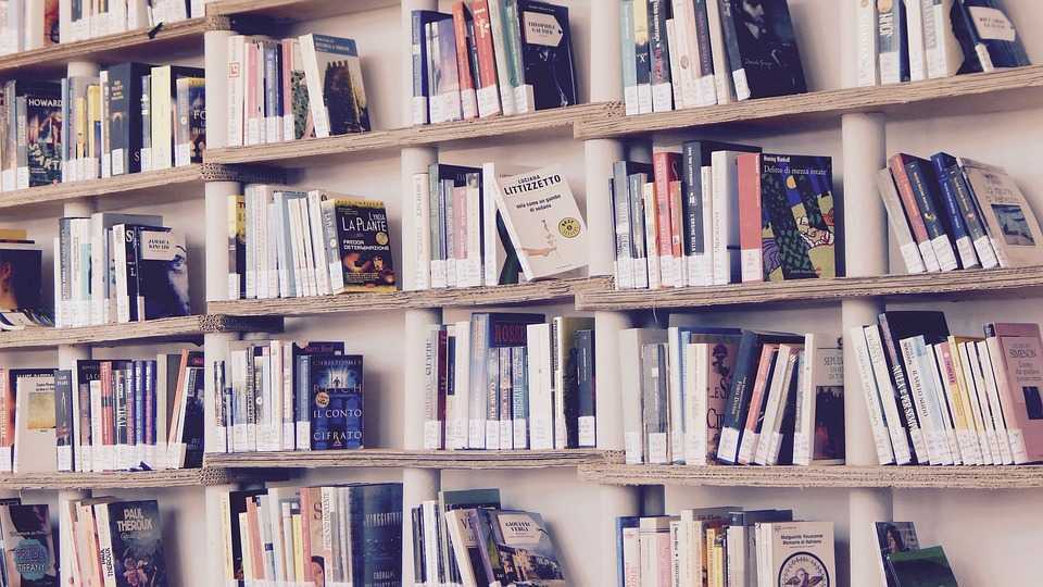 Guvernul a aprobat reorganizarea Consiliului Biblioteconomic Național