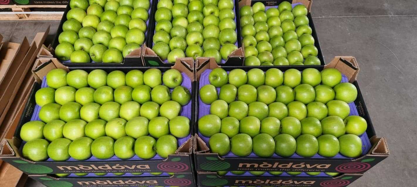 Premieră: Merele moldovenești au fost exportate în Suedia