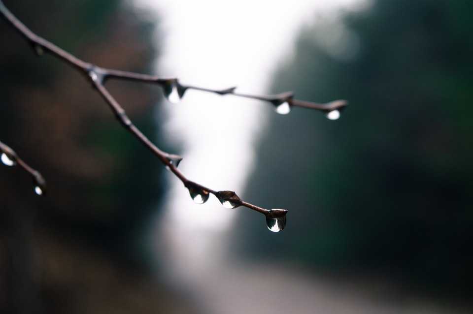 Ploi, lapoviță și maxime de până la 5°C. Prognoza meteo