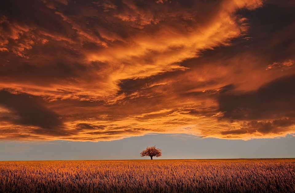 Noi prevederi privind protecția aerului atmosferic și autorizarea activității de întreprinzător