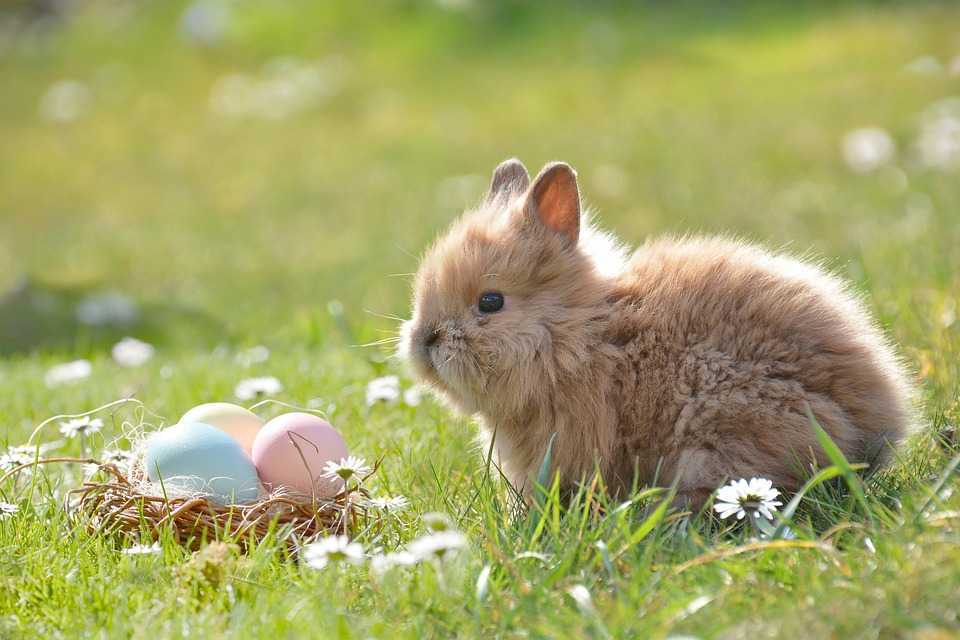 Maxime de până la 22°C. Prognoza meteo