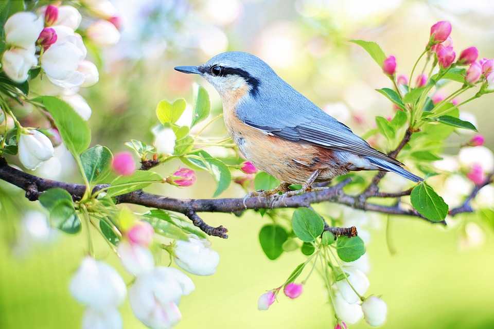 Cer noros și maxime de până la 20°C. Prognoza meteo