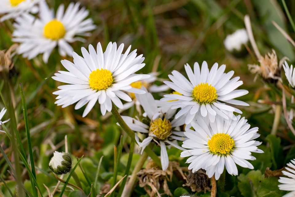 Cer noros și maxime de până la 20°C. Prognoza meteo