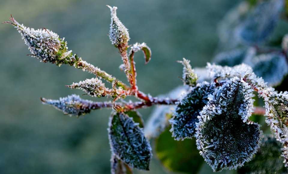 Cod Galben de vânt și înghețuri. Prognoza meteo