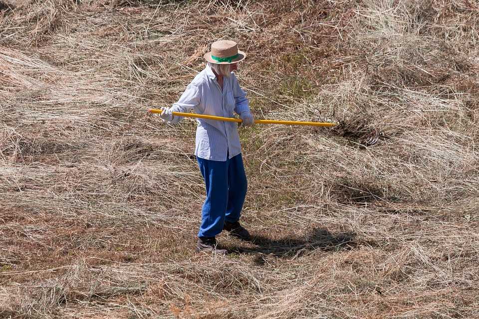 Procedură mai simplă de radiere a gospodăriilor țărănești inactive