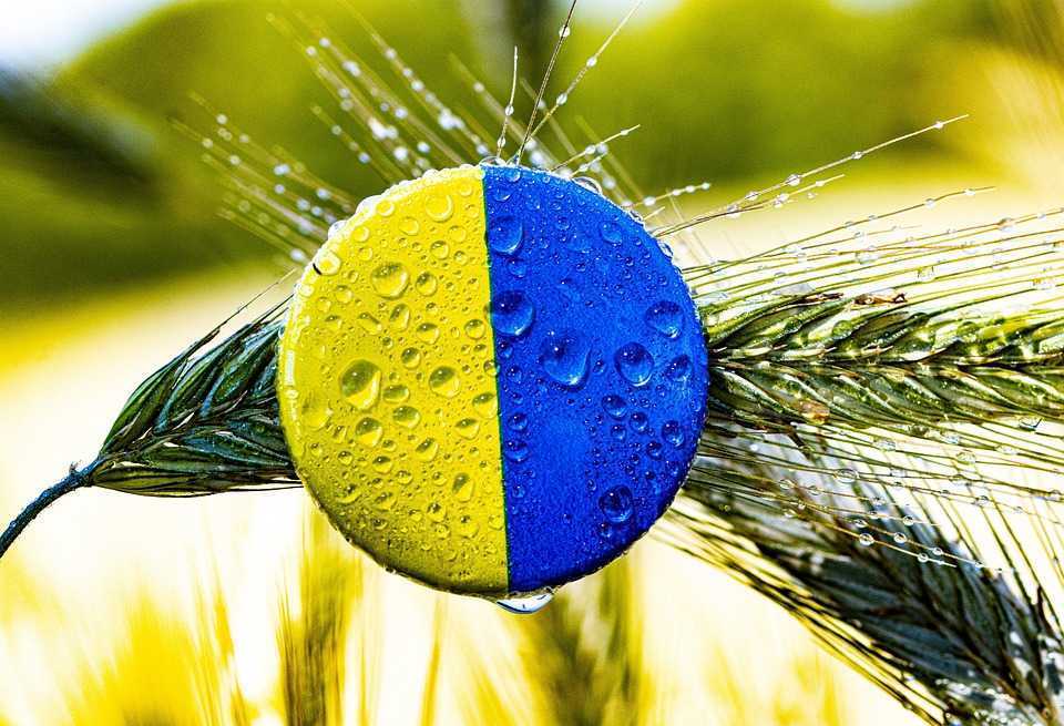 Republica Moldova nu va impune restricții de import pentru cerealele din Ucraina