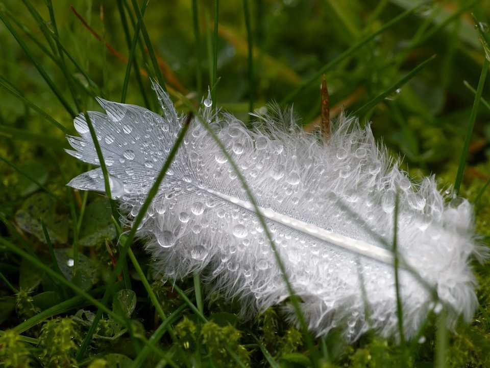Cer variabil și ploi de scurtă durată. Prognoza meteo