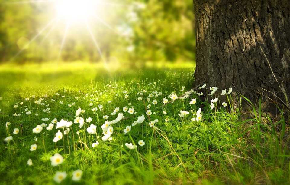 Ploi slabe și maxime de până la 27°C. Prognoza meteo