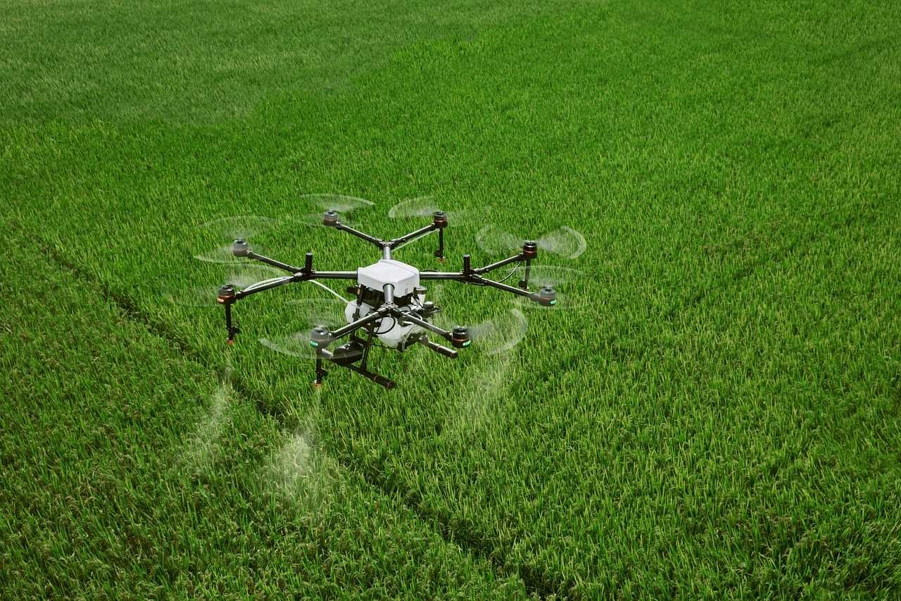 Planul național de acțiuni privind diminuarea riscurilor asociate utilizării pesticidelor