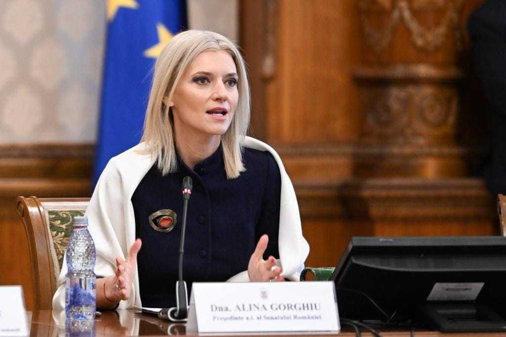 Alina Gorghiu: Ucraina şi Republica Moldova trebuie să meargă împreună pe calea europeană