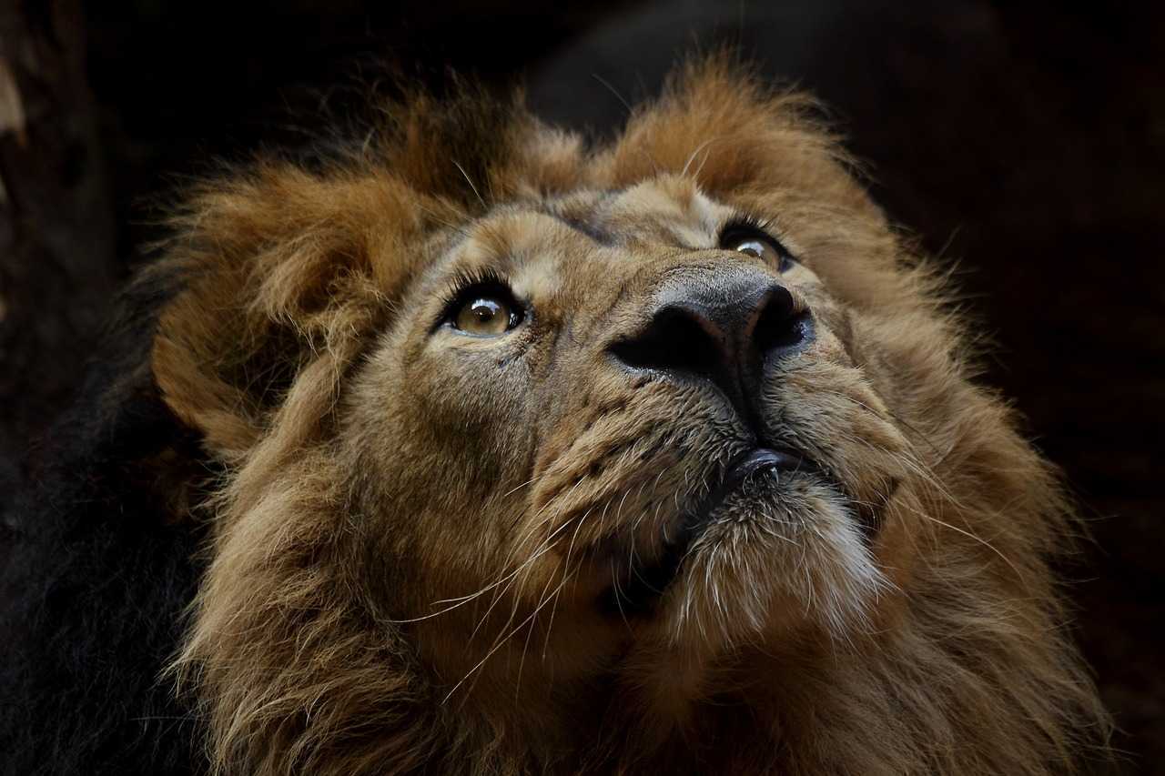 Mai în glumă, mai în serios. Trei semne zodiacale care îți vor strica petrecerea