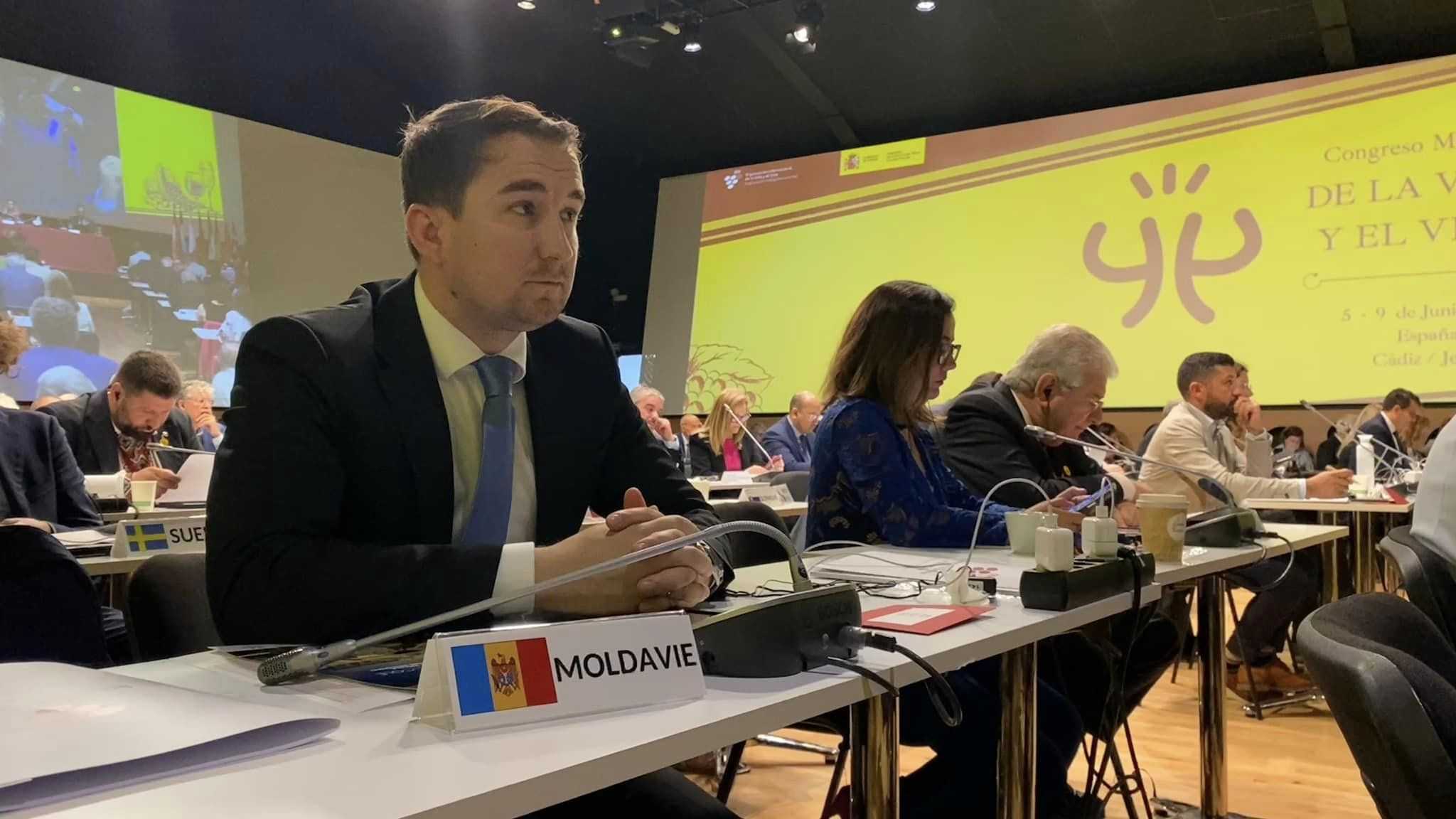 Organizația Internațională a Viei și Vinului a desemnat un nou director general