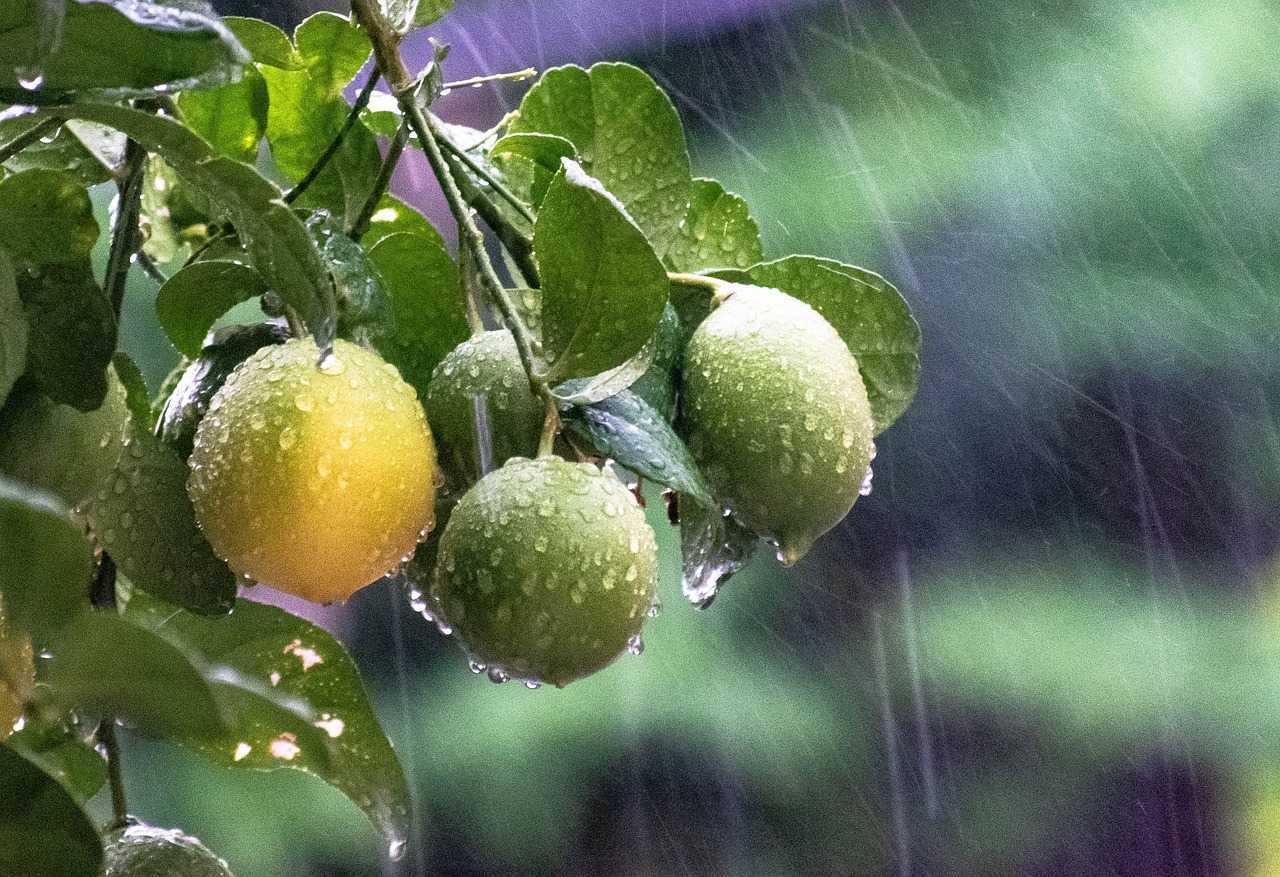 Averse cu descărcări electrice și maxime de 23°C. Prognoza meteo