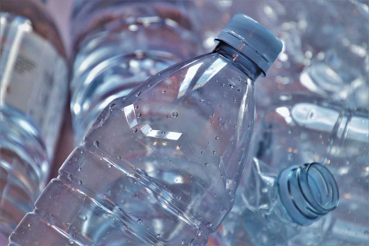 Un mucegai poate descompune plasticul în 140 de zile