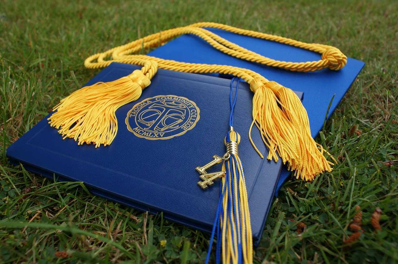 Diplomele de studii emise în țara noastră vor putea fi accesate online