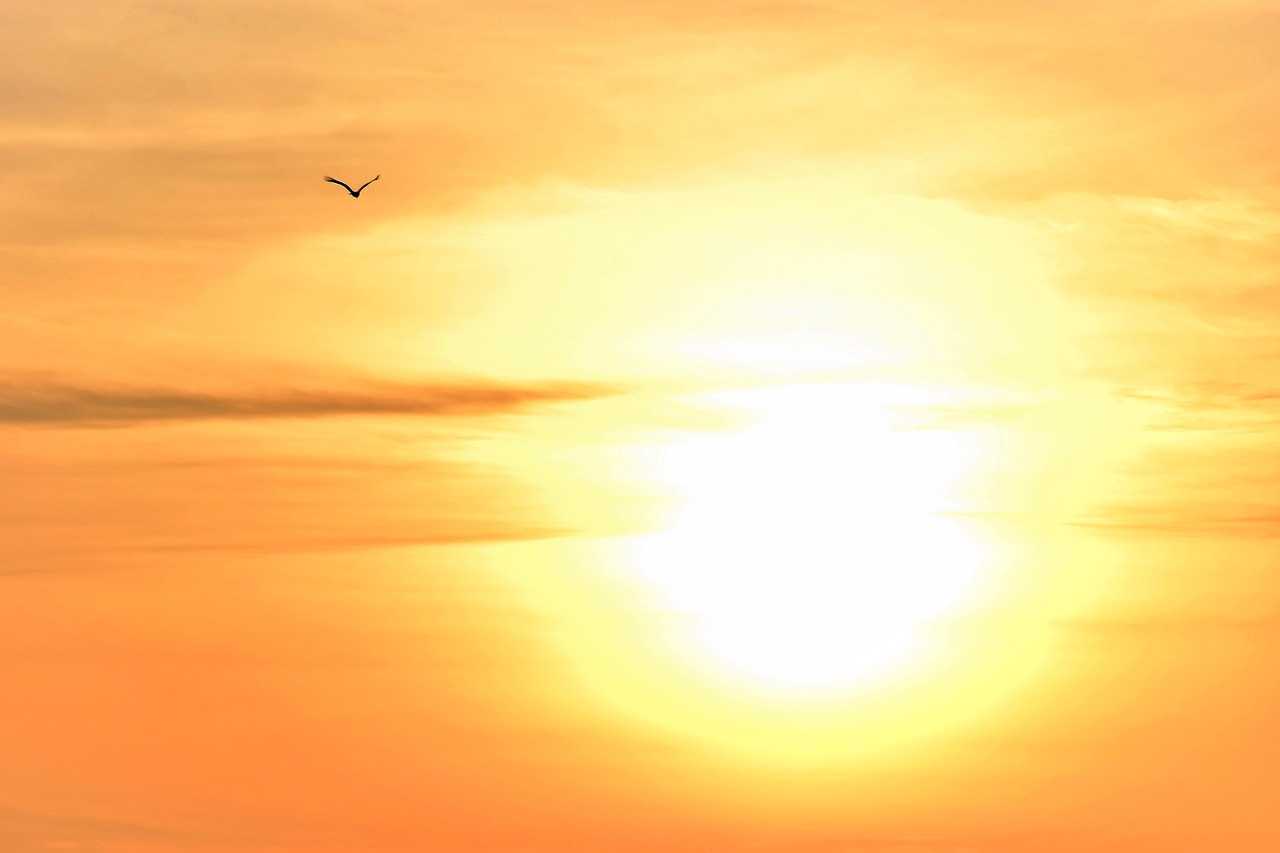 Caniculă în toată țara și maxime de până la 34°C