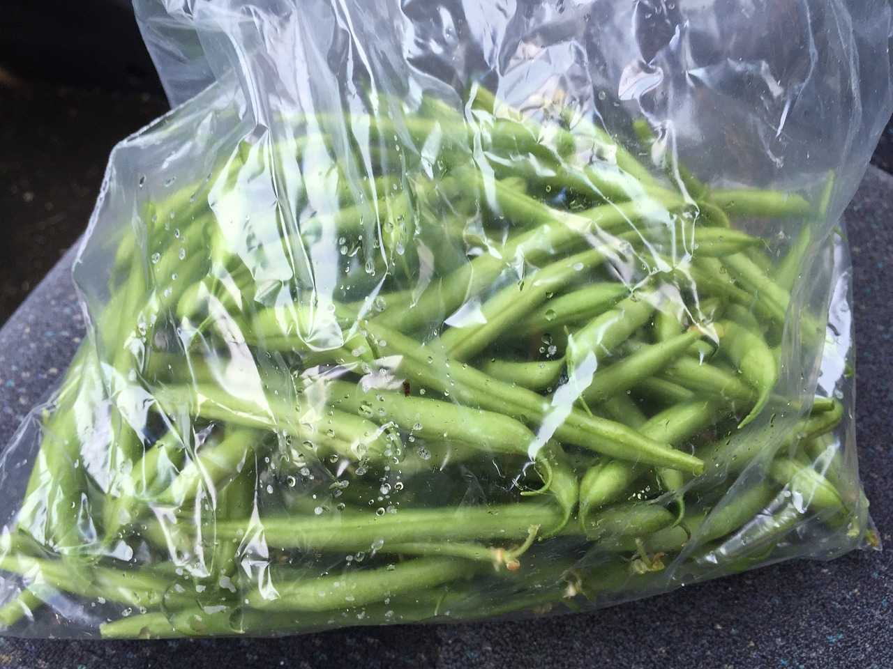 Noua Zeelandă a devenit prima țară din lume care a interzis pungile subțiri de plastic pentru produsele proaspete din supermarketuri