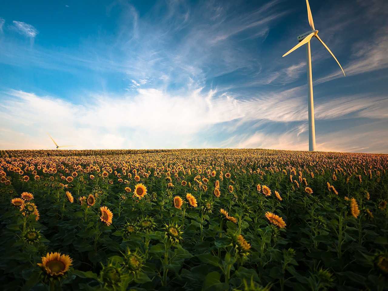 Se înregistrează o creștere a solicitărilor de racordare pentru producția de energie regenerabilă