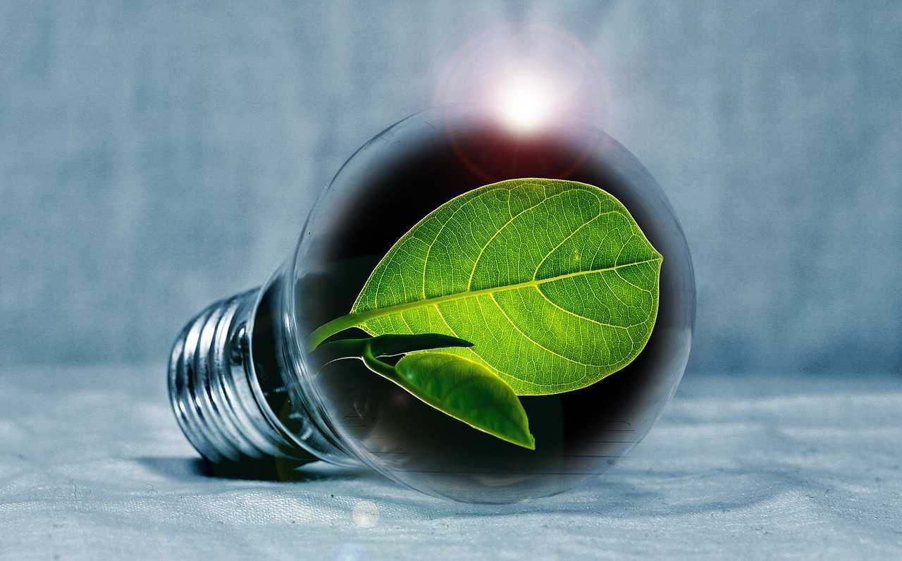 UE are nevoie de 700 miliarde euro pe an pentru atingerea obiectivelor tranziției verde