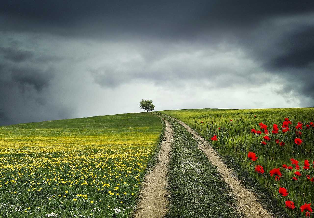 Caniculă și averse. Rubrica diverse și prognoză meteo