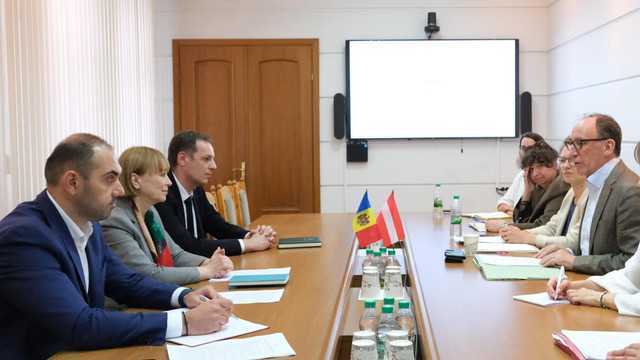 Ministra Sănătății a avut o întrevedere cu omologul său din Austria