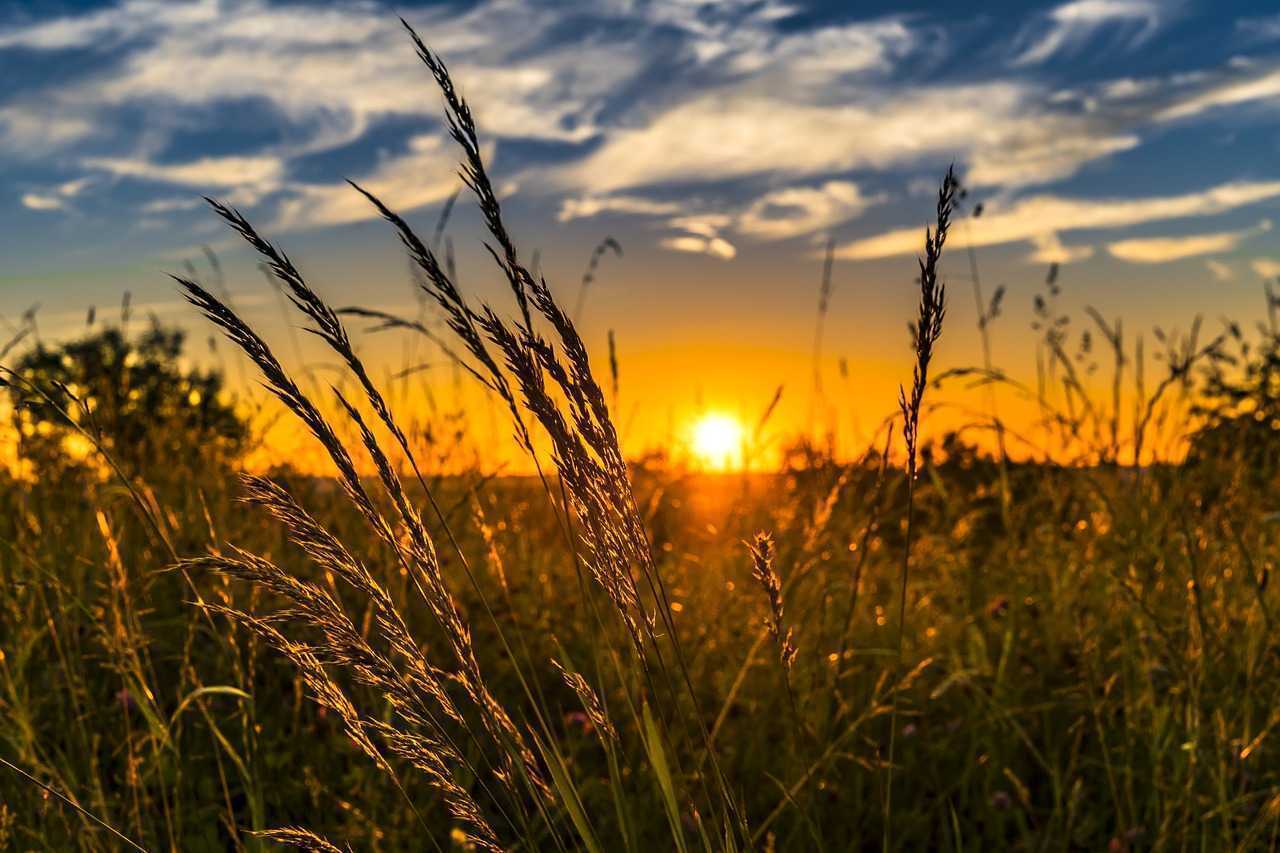 Soare și temperaturi ridicate. La sudul R.Moldova termometrele vor înregistra până la 30 de grade
