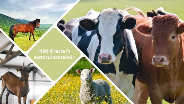 AIPA: Apel pentru fermieri să depună cereri pentru plățile directe în sectorul zootehnic