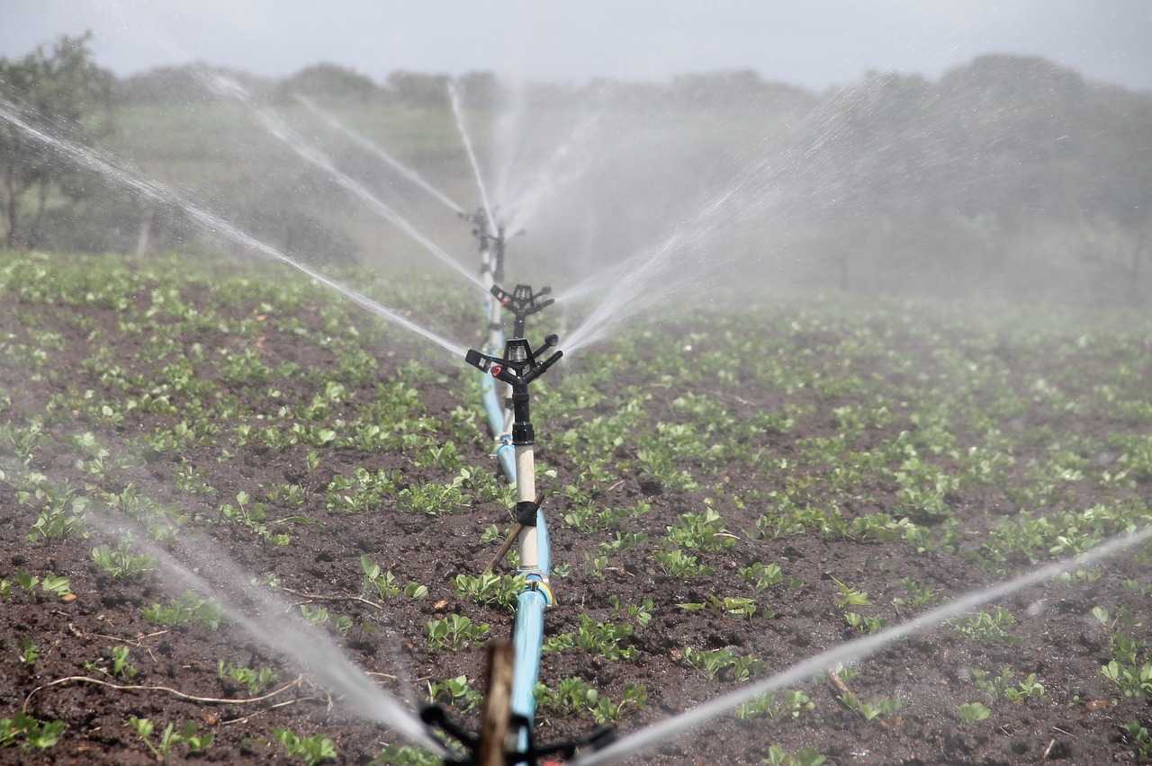 Fără sisteme de irigare, agricultorii nu vor beneficia de subvenții