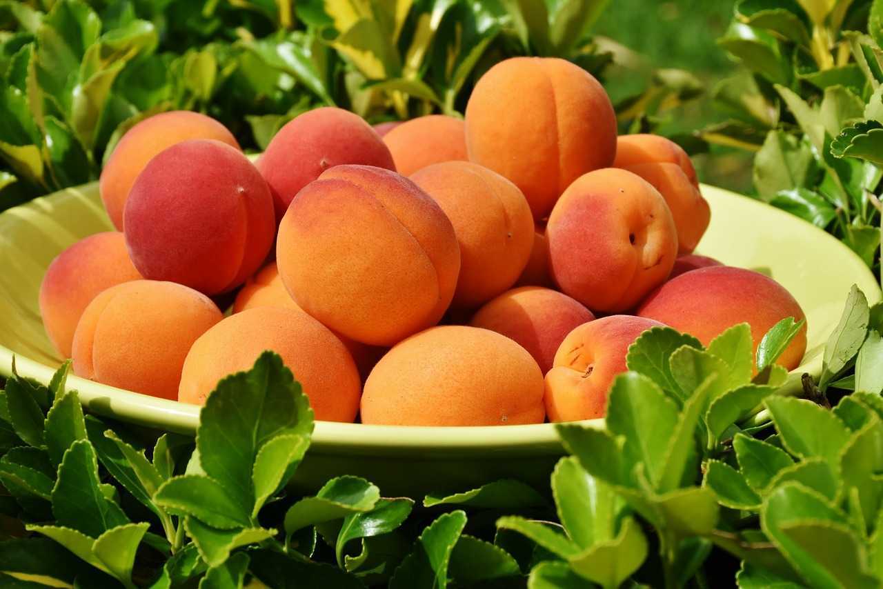 Fermierii protestatari se vor întâlni astăzi cu ministrul Agriculturii