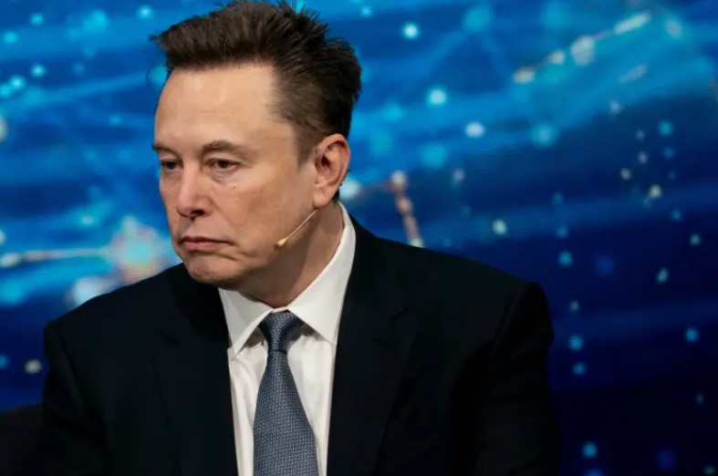 AfD, victorie zdrobitoare în Saxonia-Anhalt. Liderul partidului îi mulțumește lui Elon Musk
