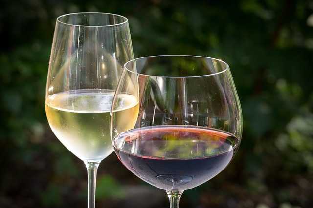 Franța se pregătește pentru una dintre cele mai slabe producții de vin din ultimii 30 de ani
