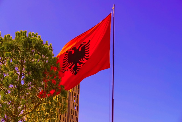 Albania devine noua destinație pentru turismul dentar. Un implant costă de patru ori mai puțin decât în Europa de Vest