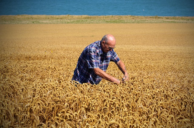 Agricultura franceză, în pericol din cauza valului de pensionări din rândul fermierilor