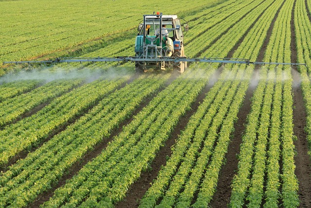 Agricultura, prioritate strategică pentru România. Ce cer fermierii pentru perioada 2028-2034