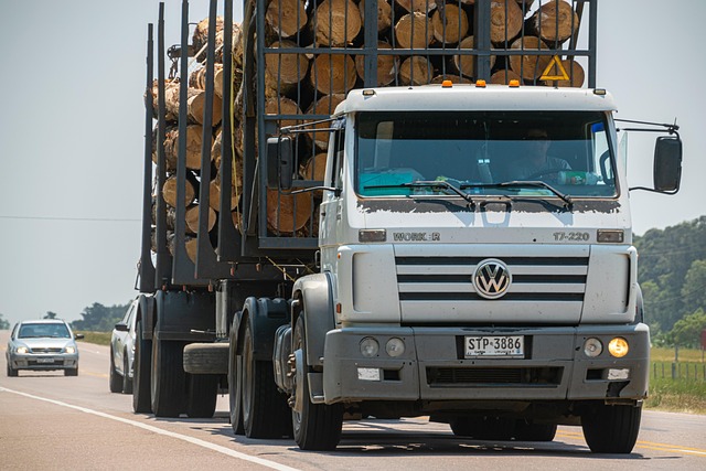 Scumpirea motorinei schimbă piața camioanelor: electricele au ajuns mai ieftine decât dieselurile în șase țări UE