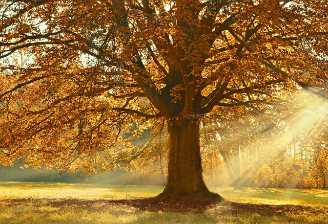 Adio, septembrie! Ultima zi a lunii ne aduce temperaturi de până la 23°C