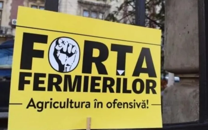 Forța Fermierilor cere prelungirea licențierii importurilor de cereale: prețurile ar putea scădea după 31 octombrie