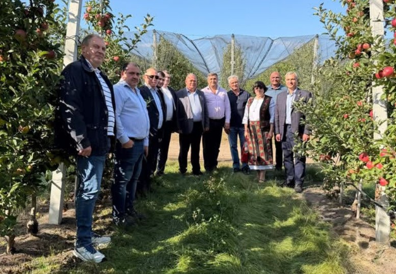 Producătorii de fructe reclamă timpii mari de așteptare la frontiera cu România. Ce i-au cerut ministrului Agriculturii