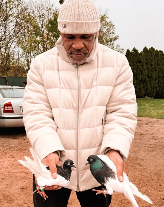 Mike Tyson, dat în judecată pentru 1,5 milioane de lire sterline din cauza unui porumbel uriaș